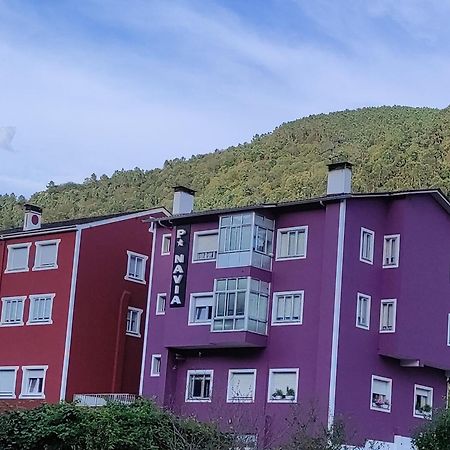 Pension Navia A Pontenova エクステリア 写真